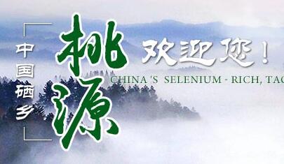  多功能營養米在桃源研究成功